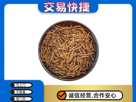 荆门掇刀区高价回收散虫草